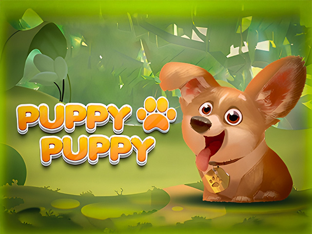 Puppy Puppy